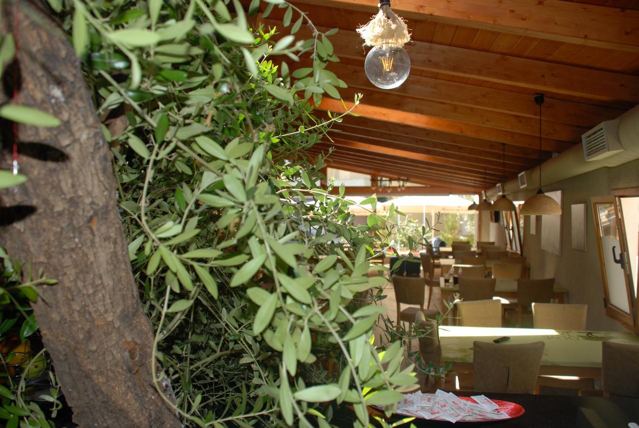 Hotel Olive Tree Saranda Zewnętrze zdjęcie